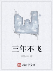 三年不飛