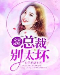 寵妻成癮，總裁別太壞