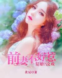前妻不好惹:複婚?沒戲