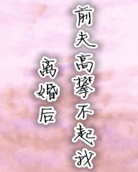 離婚後前夫高攀不起我 離婚後前夫高攀不起我
