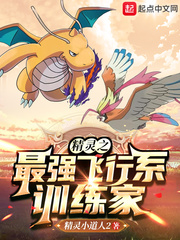 精靈之最強飛行係訓練家