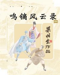 鳴鏑風雲錄