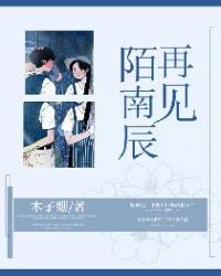 陌南辰再見