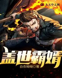 蓋世霸婿
