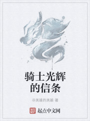 騎士光輝的信條