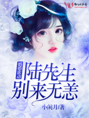 婚婚欲動：陸先生，別來無恙