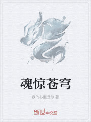 魂驚蒼穹