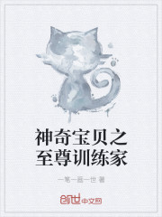 神奇寶貝之至尊訓練家