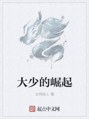 大少的崛起