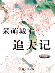 呆萌城主追夫記