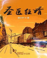 聖醫狂婿