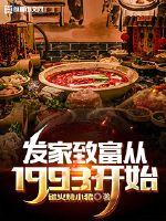 發家致富從1993開始