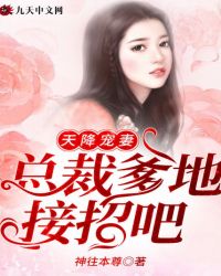 天降寵妻：總裁爹地接招吧