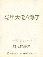 馬甲大佬A爆了