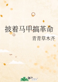 披著馬甲搞革命