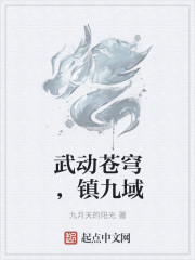 武動蒼穹，鎮九域