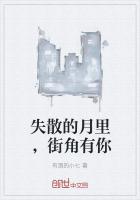 失散的月裏，街角有你