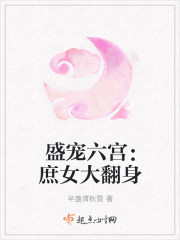 盛寵六宮：庶女大翻身