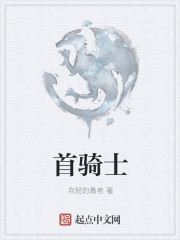 首騎士