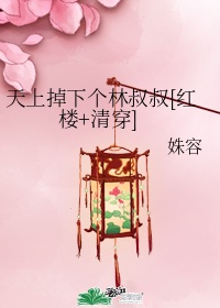 天上掉下個林叔叔[紅樓清穿]