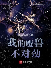 我的魔獸不對勁