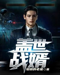 蓋世戰婿