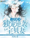 獨寵逆襲寶貝妻