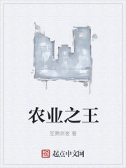 農業之王 農業之王