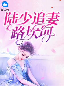 陸少追妻路坎坷