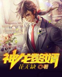 神龍贅婿