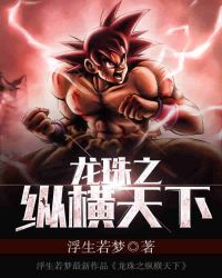 龍珠之縱橫天下
