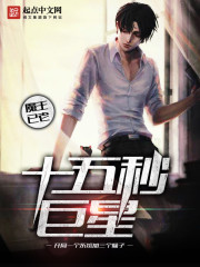十五秒巨星 十五秒巨星