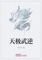 天極武逆