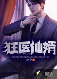 狂醫仙婿