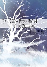 [張雲雷+微沙海]過了坎就是坑