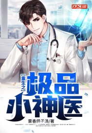 重生之極品小神醫 