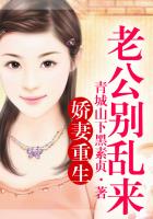嬌妻重生，老公別亂來