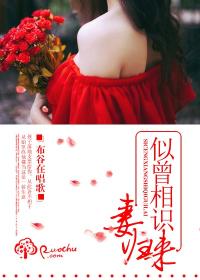 似曾相識妻歸來