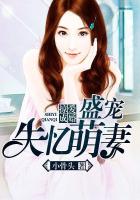 掠愛成婚：盛寵失憶萌妻
