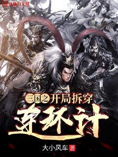 三國之開局拆穿連環計封麵