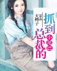 抓到總裁的小尾巴