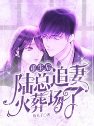 重生後，陸總追妻火葬場了