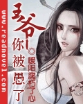 王爺你被愚了