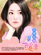 首席定製：第一暖妻