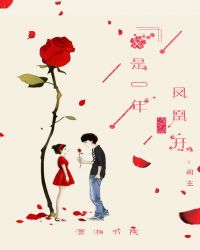 又是一年鳳凰開