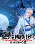 無賴縱橫蒼穹