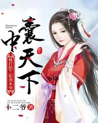 囊中天下：鐵打的王妃流水爺