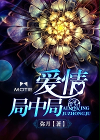 愛情局中局 愛情局中局