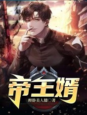 帝師王婿