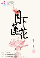 月下蓮花